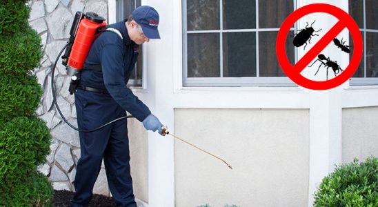 Çınar Dezenfeksiyon böcek ilaçlama ve haşere kontrolü — ilaclama-tr.com